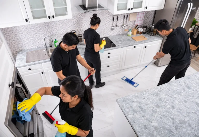 pest control and cleaning