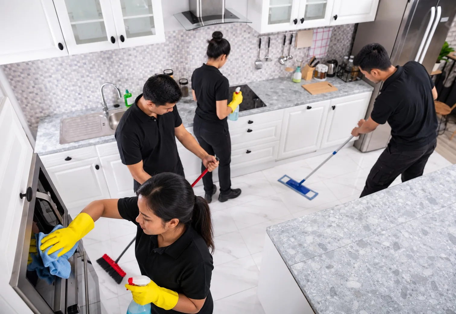pest control and cleaning