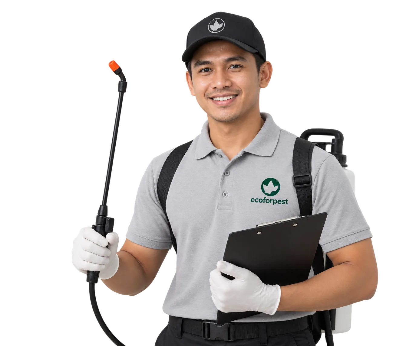 Professional pest control technician in Bali