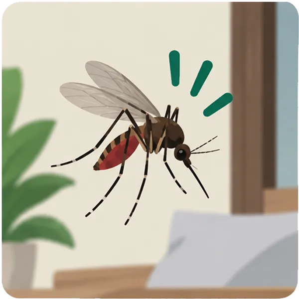 Mosquito control around a Bali property